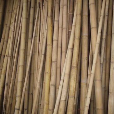 Werken met echt bamboe