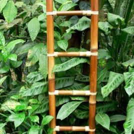 Bamboe trapje