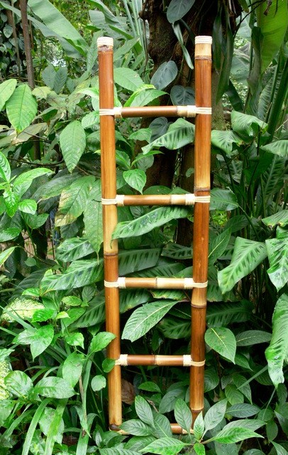 Bamboe trapje