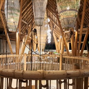 Is bamboe de grondstof van de toekomst?
